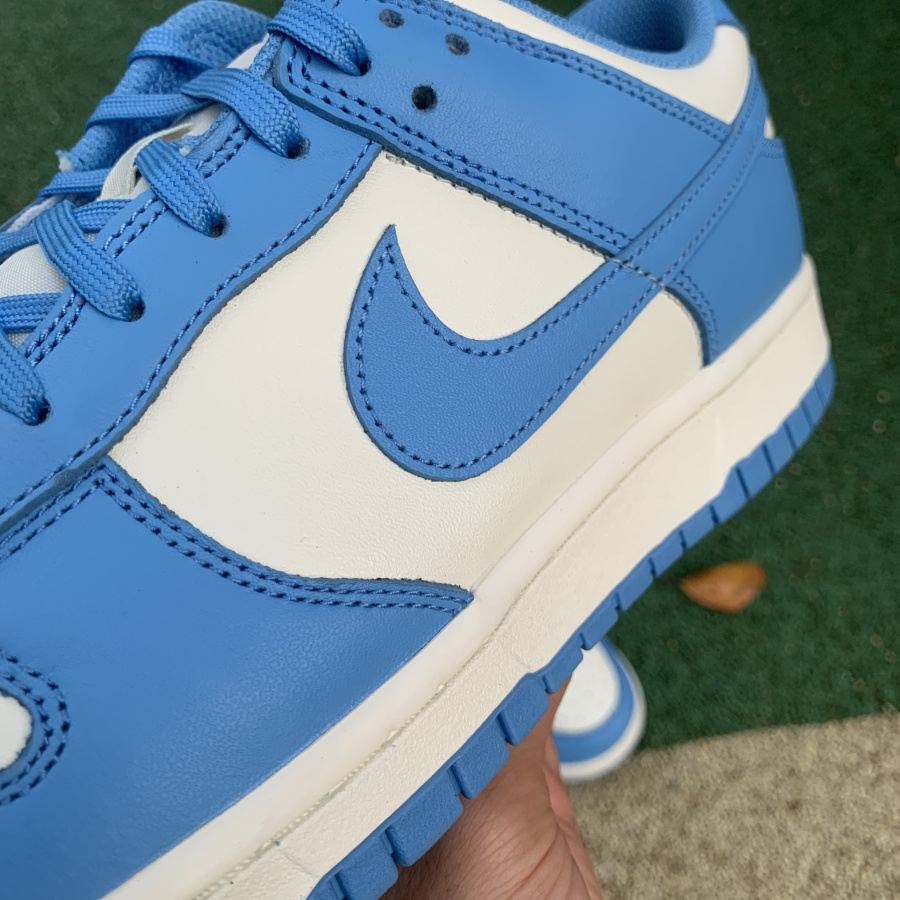 mens dunk low coast