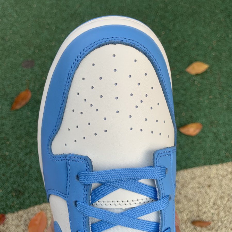 mens dunk low coast