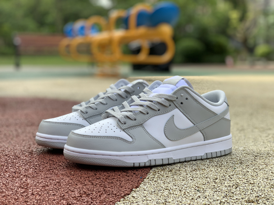 Nike Dunk Low SB Heels