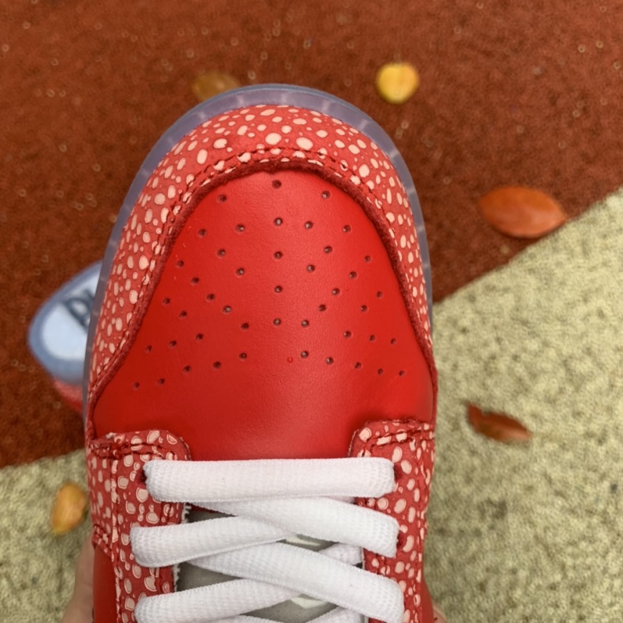 sb dunk low x stingwatermagic mushroom