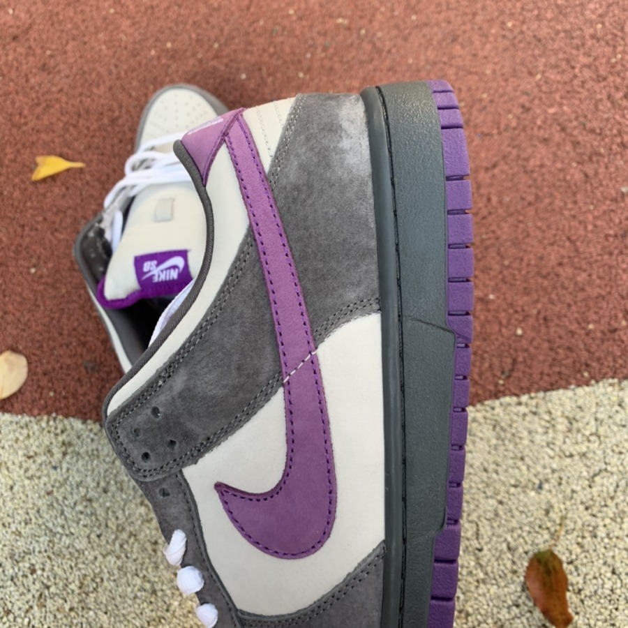 sb purple pigeon