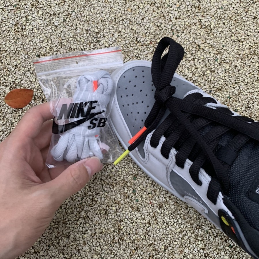 dunk low camera