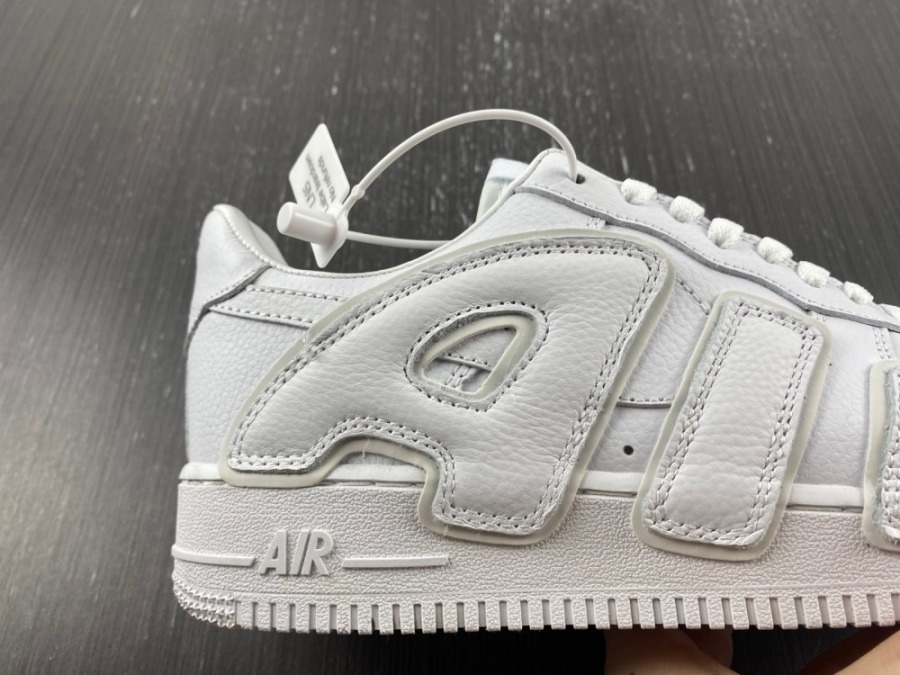 af1 cactus