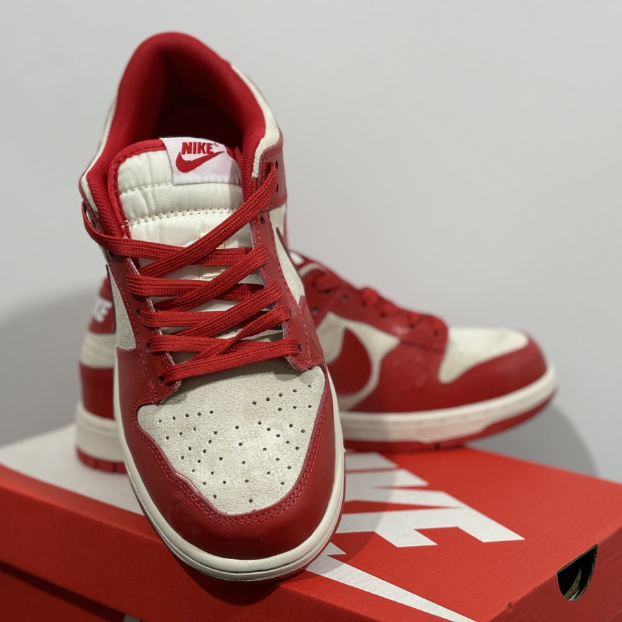Dunks With Roses Nike Dunk Low 'Roses' - SneakerCharter.com